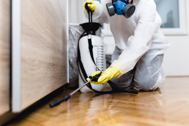 Best Insect Control  in Lakewood, WA