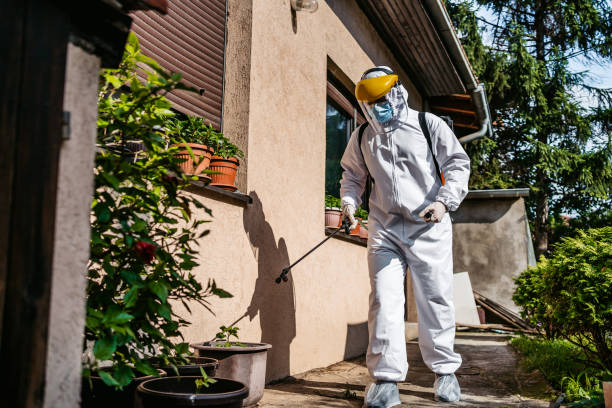 Best Bird Control  in Lakewood, WA
