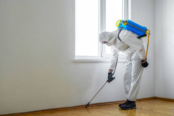 Insect Control in Lakewood, WA