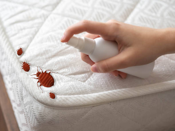  Lakewood, WA Pest Control Pros
